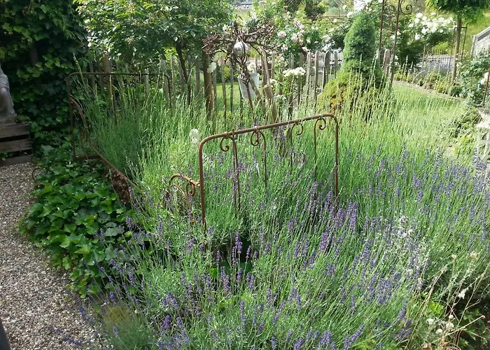 Rosenhaus ホームステイ