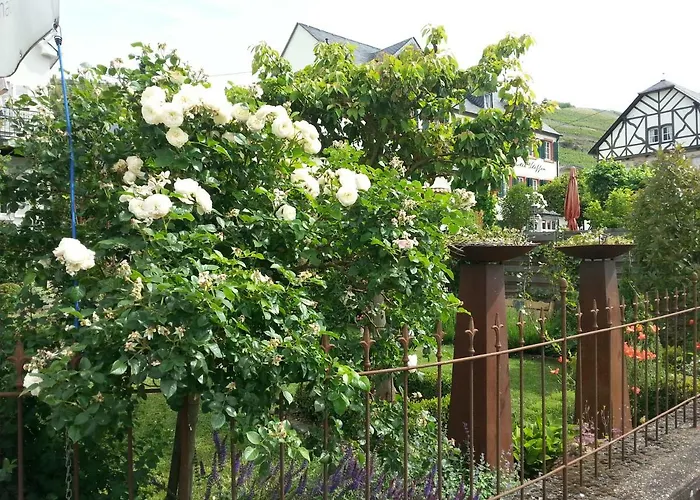 Rosenhaus ホームステイ リーザー